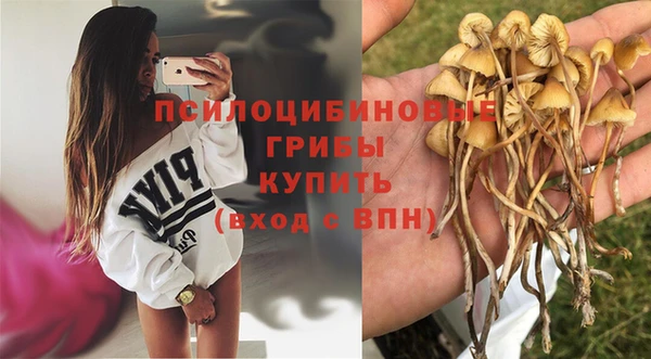 spice Армянск