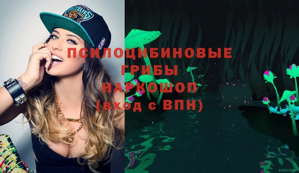 mdpv Арсеньев
